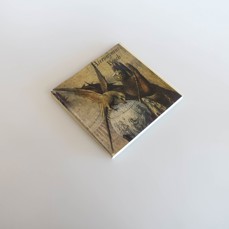 Hieronymus Bosch - Hana Volavková