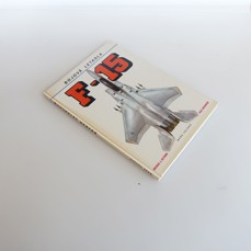 F-15 - Bojová letadla